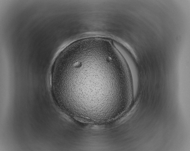 X0000110761365200906151257