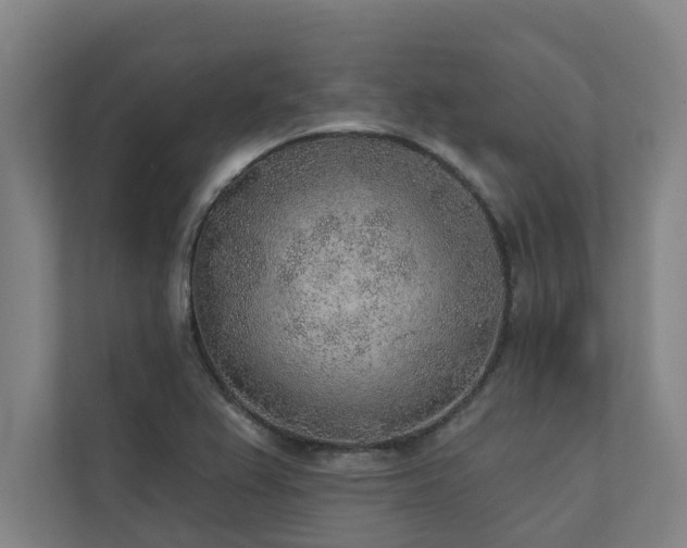 X0000110761367200906151257