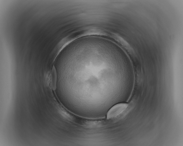 X0000110761369200906151257
