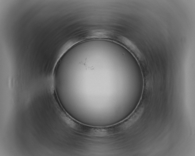 X0000110761370200906151257