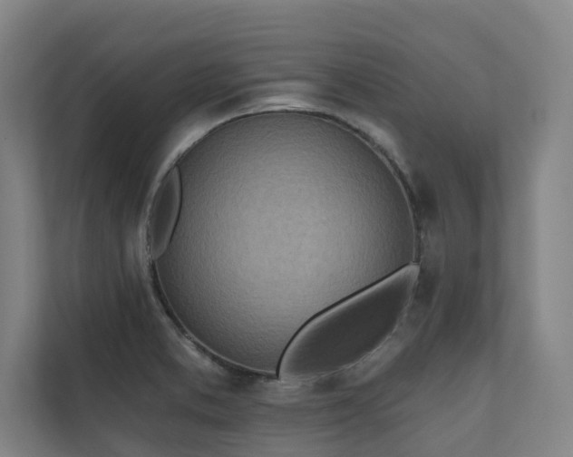 X0000110761373200906151257