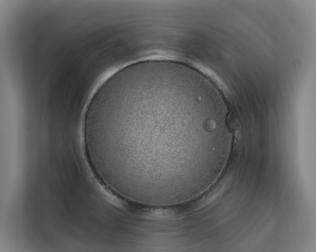 X0000110761375200906151257