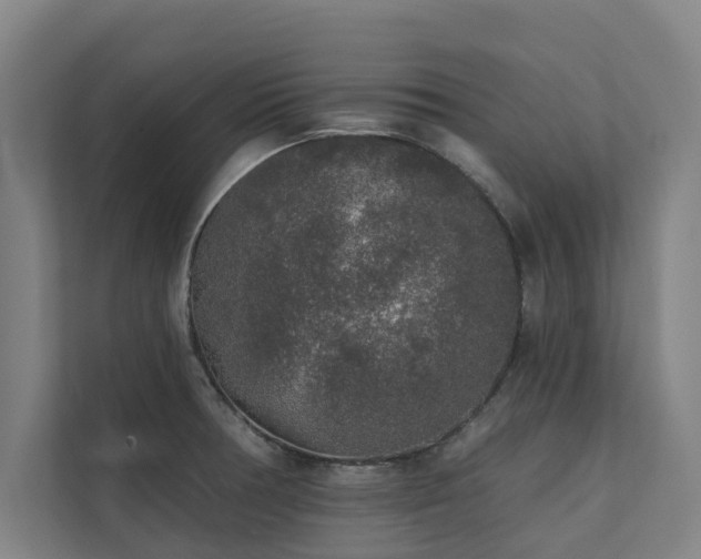 X0000110761378200906151257
