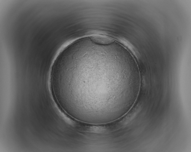 X0000110761379200906151257
