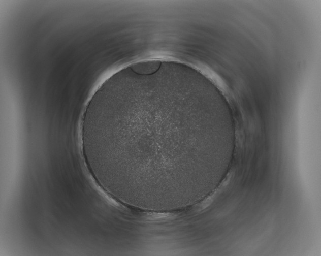 X0000110761382200906151257