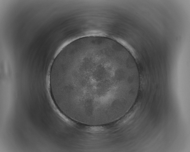 X0000110761383200906151257