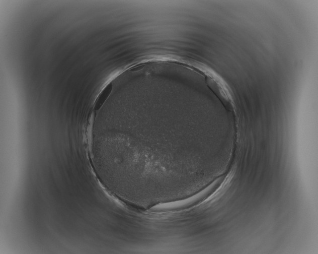 X0000110761385200906151257