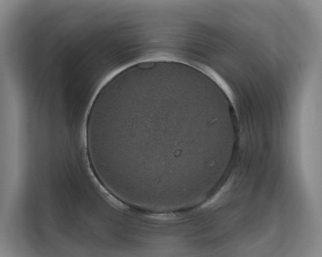 X0000110761388200906151257