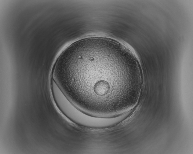 X0000110761389200906151257