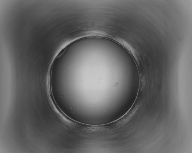 X0000110761391200906151257