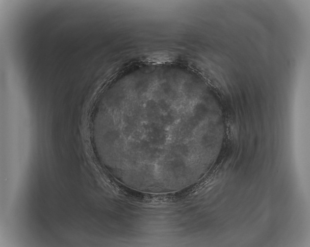 X0000110761393200906151256