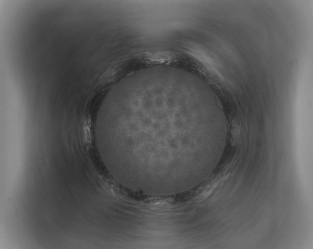 X0000110761394200906151256