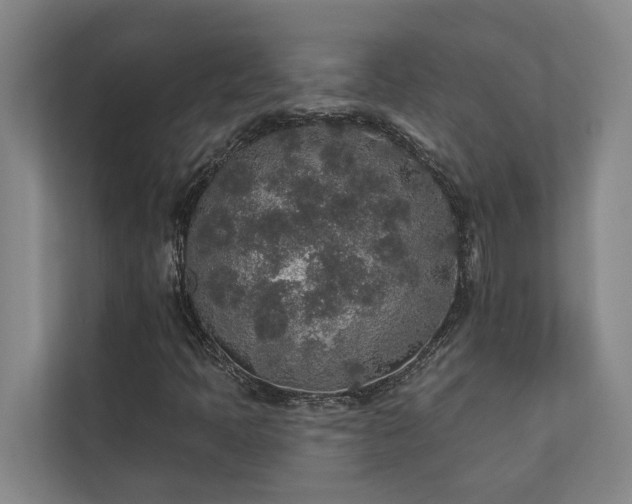 X0000110761397200906151256