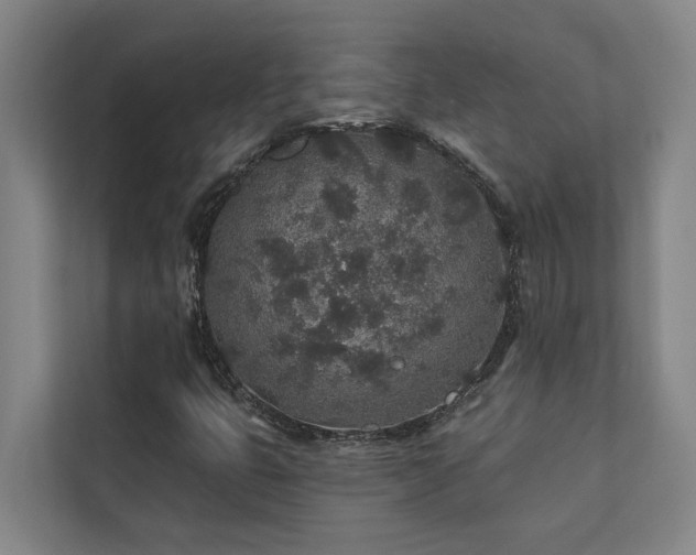 X0000110761399200906151256