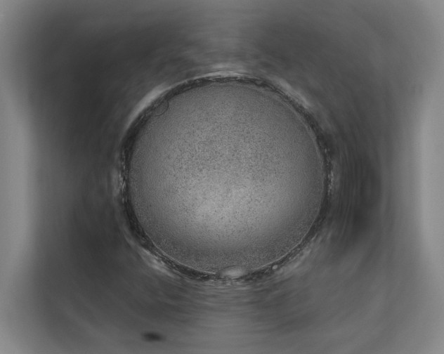 X0000110761400200906151256