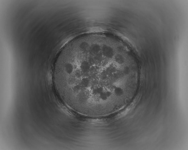 X0000110761401200906151256