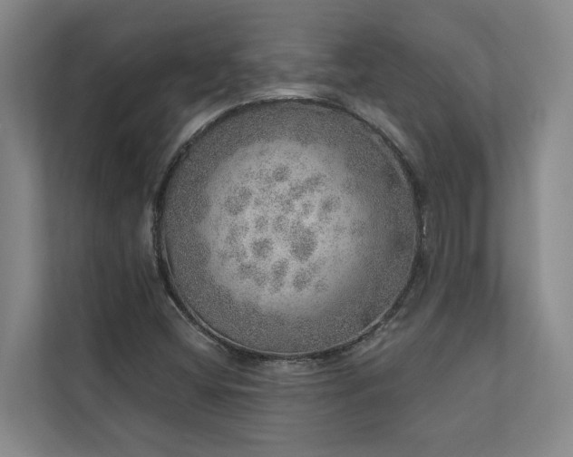 X0000110761404200906151256