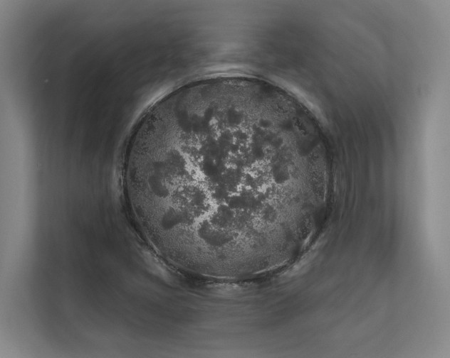 X0000110761405200906151256