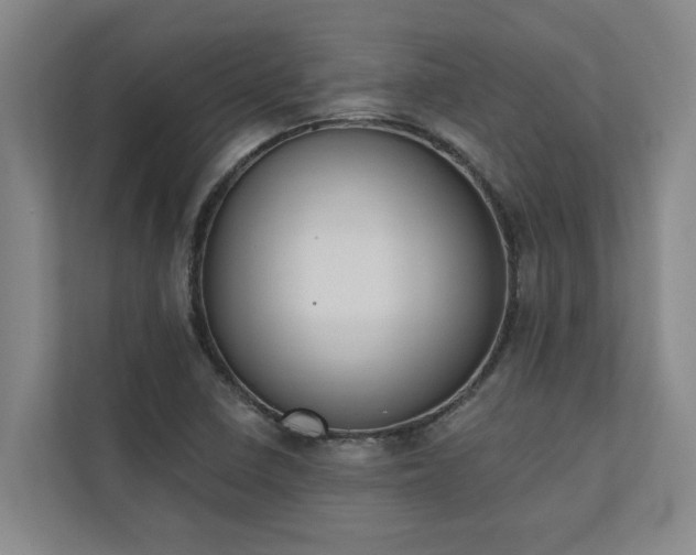 X0000110761410200906151256