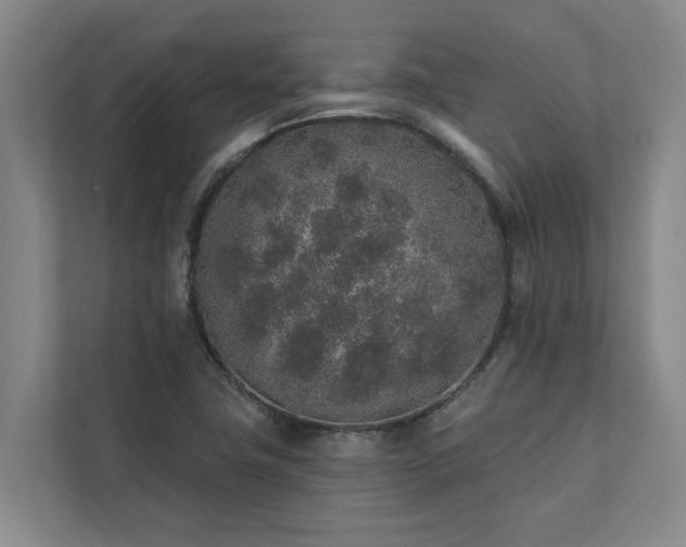 X0000110761411200906151256