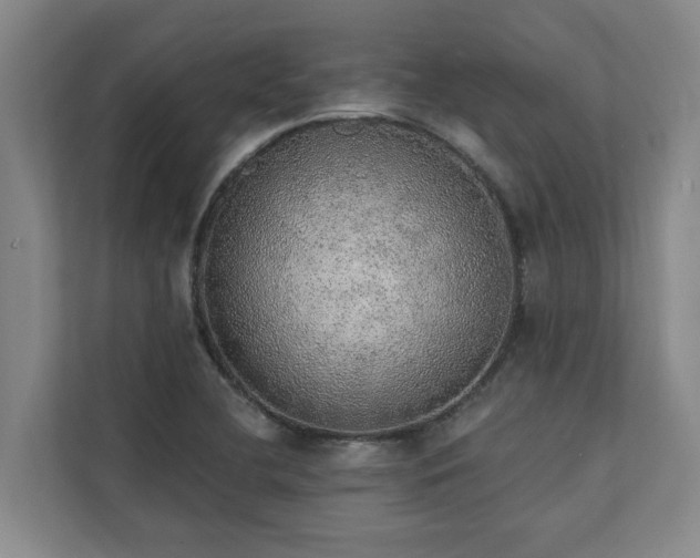 X0000110761412200906151256