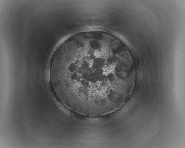 X0000110761413200906151256