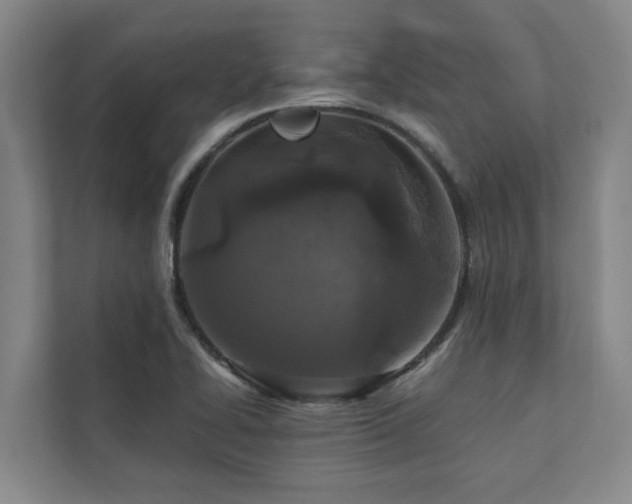X0000110761414200906151256