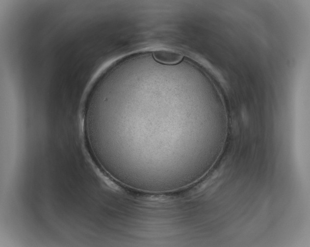 X0000110761416200906151256