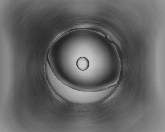 X0000110761417200906151256
