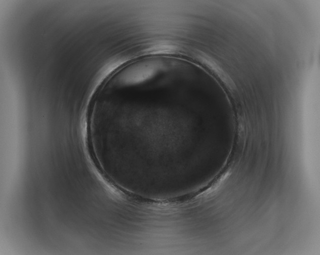 X0000110761418200906151257