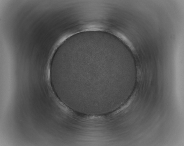 X0000110761419200906151257