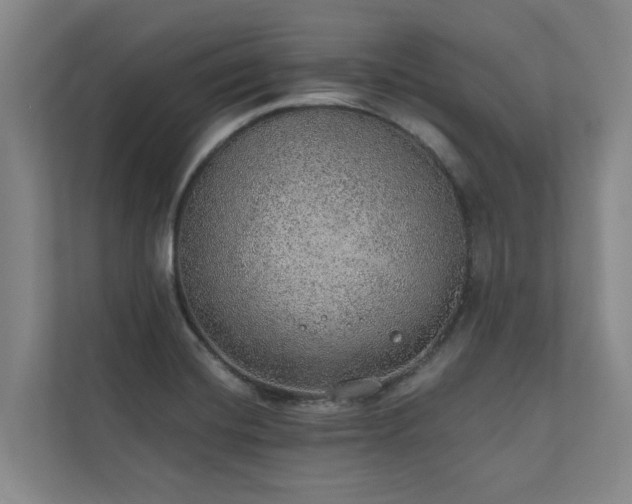 X0000110761420200906151257
