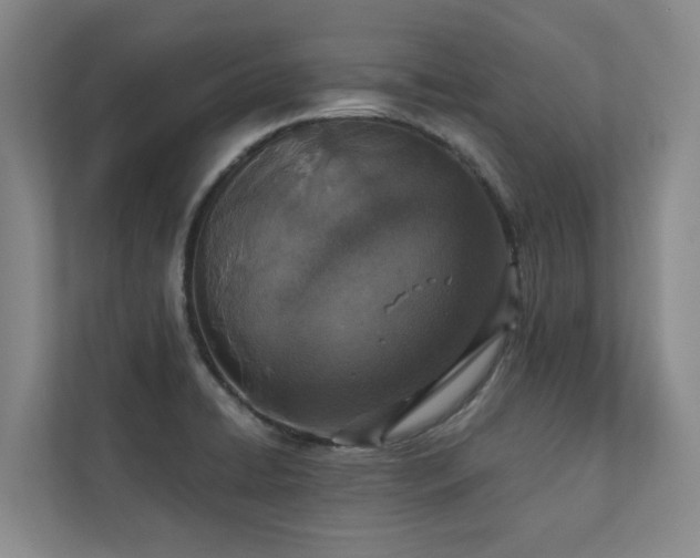 X0000110761422200906151257