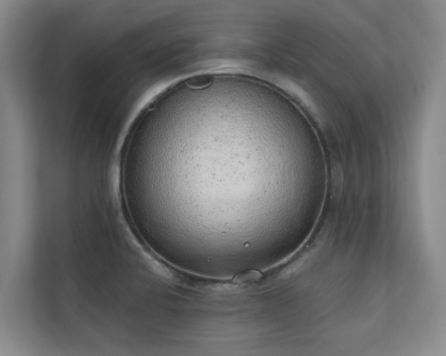 X0000110761424200906151257