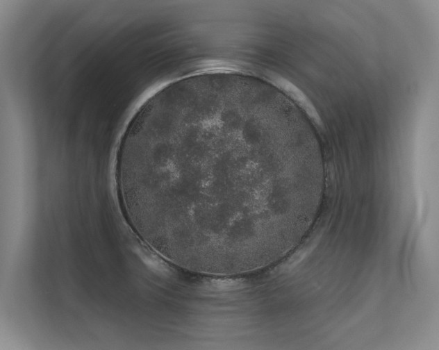 X0000110761427200906151257