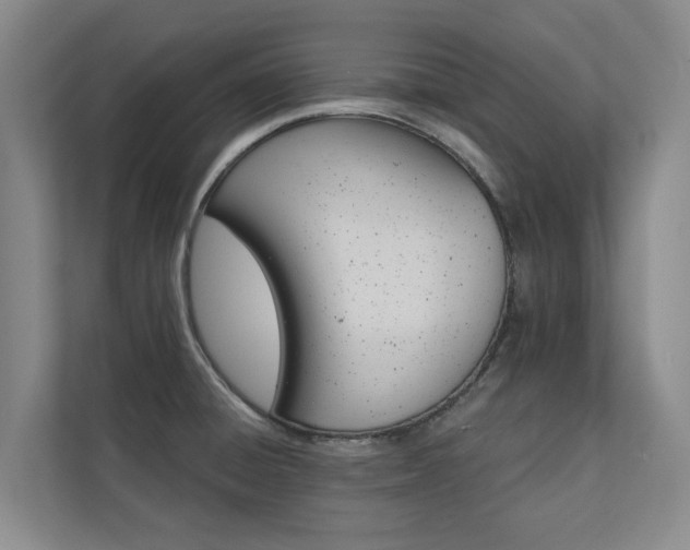 X0000110761428200906151257