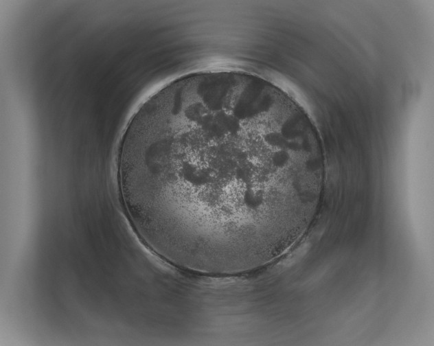 X0000110761429200906151257