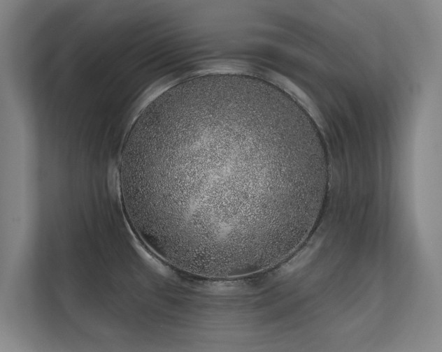 X0000110761433200906151257