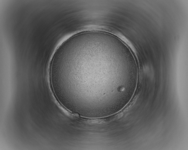 X0000110761437200906151257