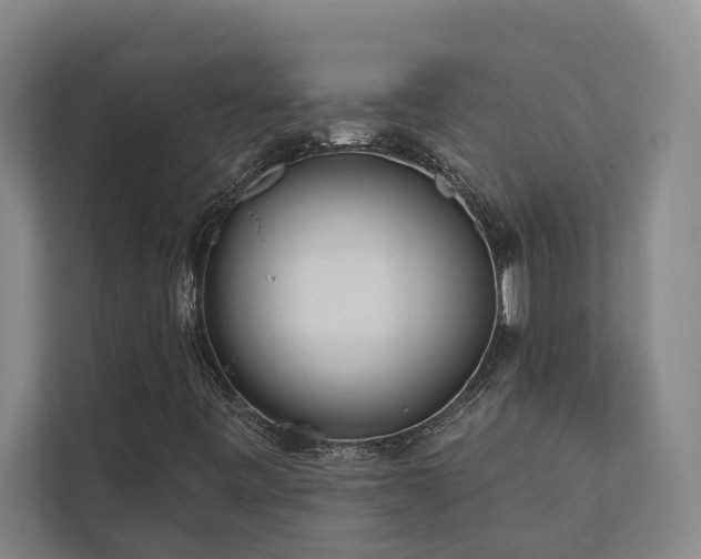 X0000110761443200906151256