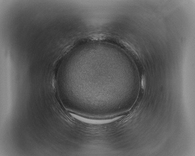 X0000110761444200906151256