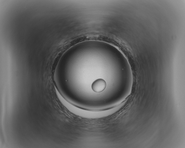 X0000110761445200906151256