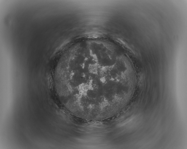 X0000110761446200906151256