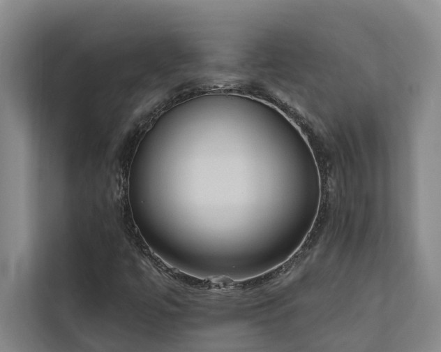 X0000110761447200906151256