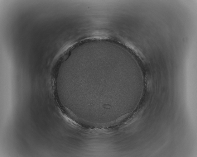X0000110761448200906151256
