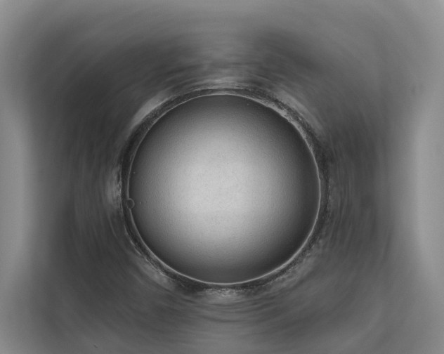 X0000110761450200906151256