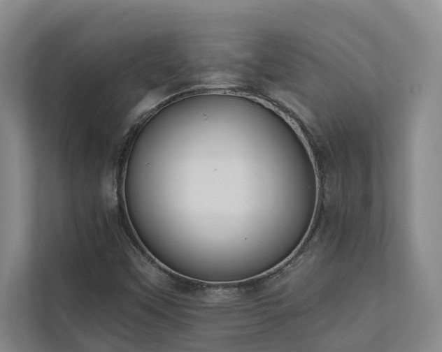 X0000110761451200906151256