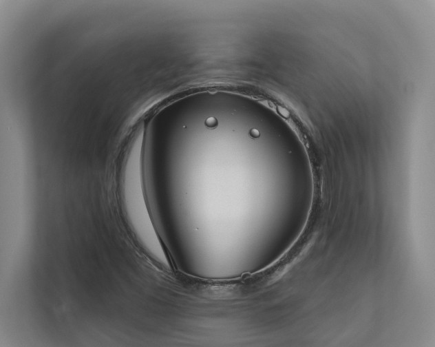 X0000110761453200906151256