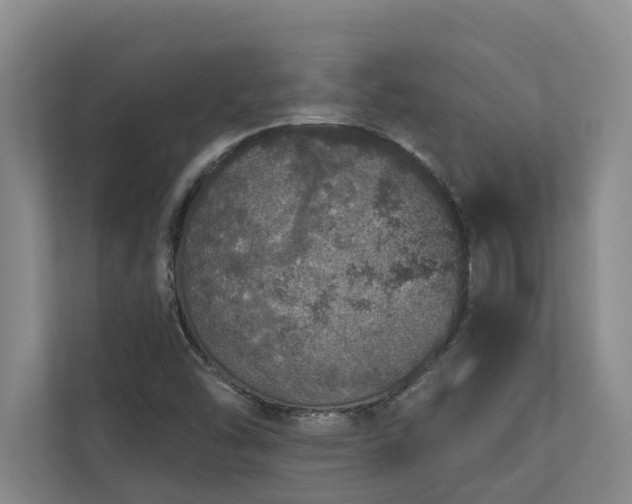 X0000110761454200906151256