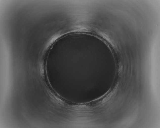 X0000110761455200906151256